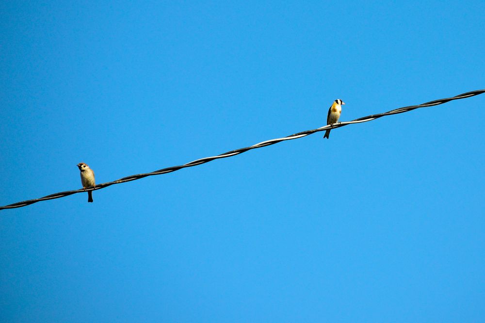 Photograph by Ольга Мокрова