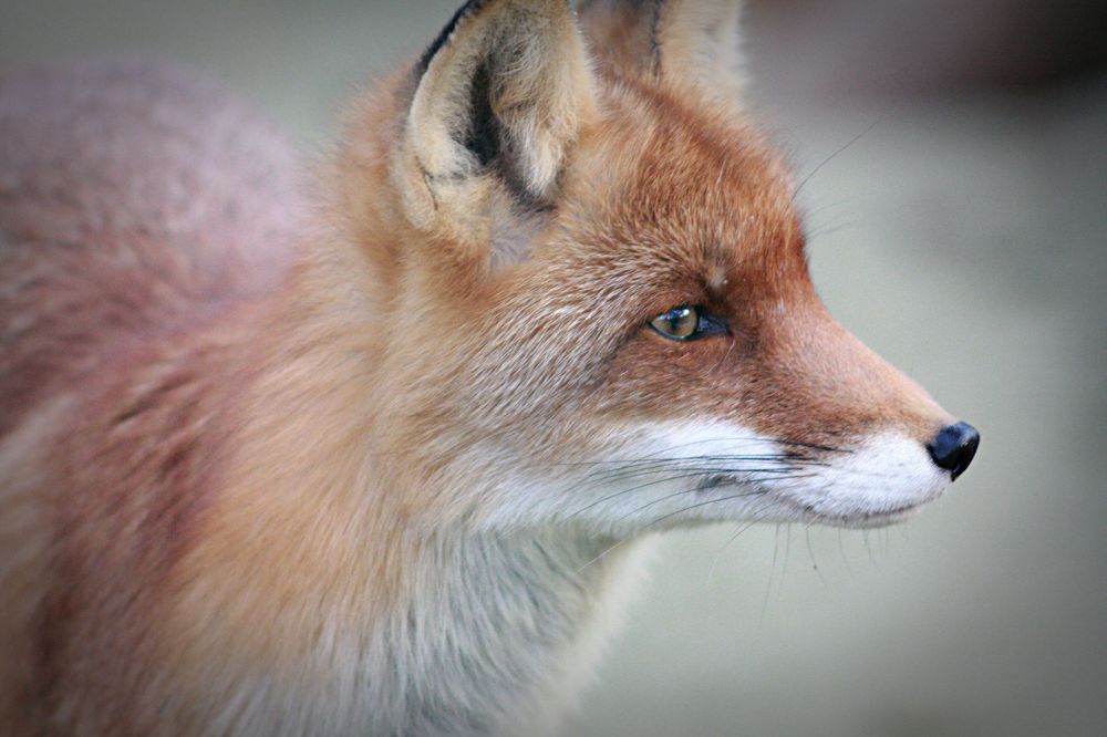 Photograph by Эдуард Попов