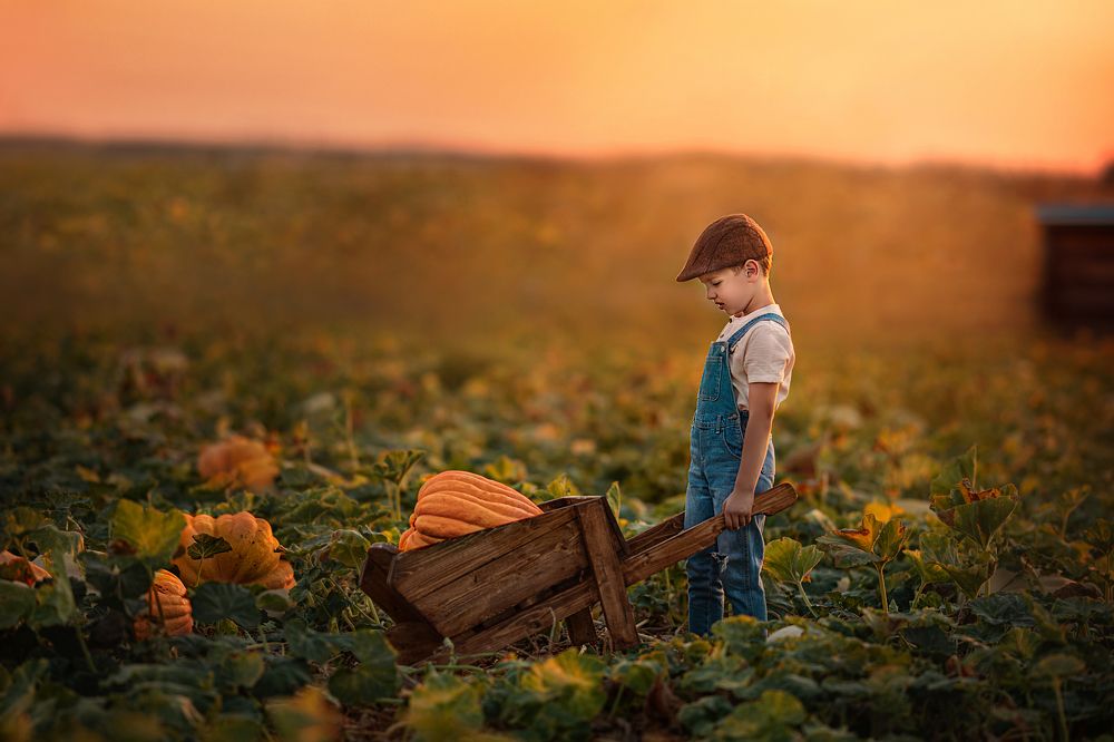 Photograph by avishag twito