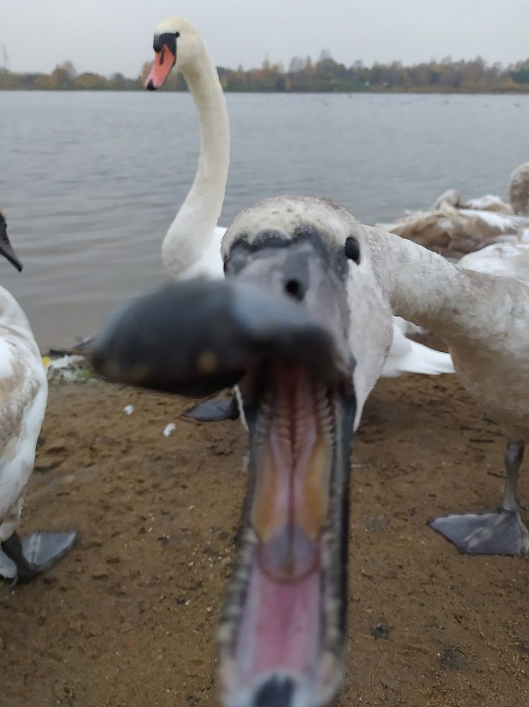 Photograph by Maryna Kukhtsikava