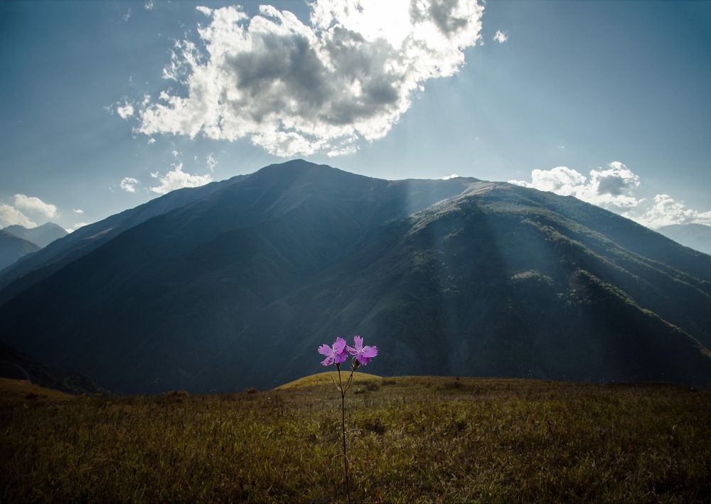 Photograph by Жулягов Имран