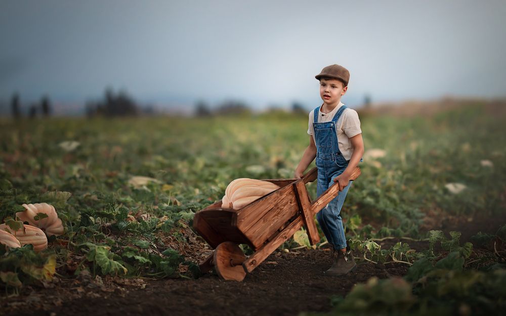 Photograph by avishag twito