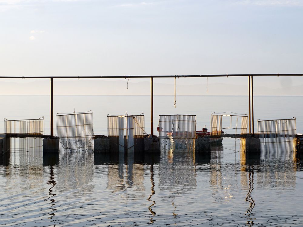 Photograph by Dimitris Lapousis