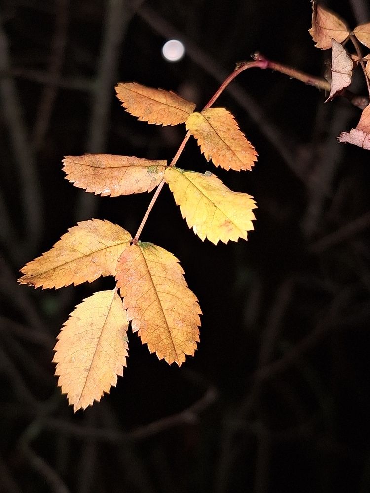 Photograph by Вера