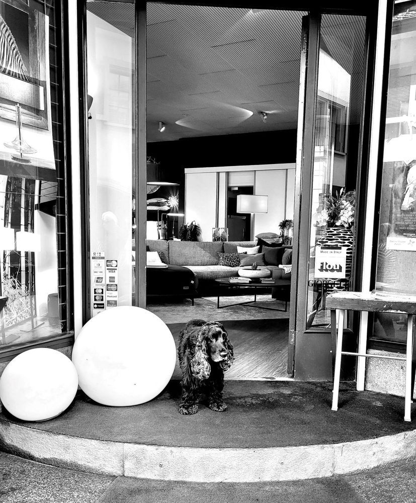 Фотография автора Lada Yakouchyk