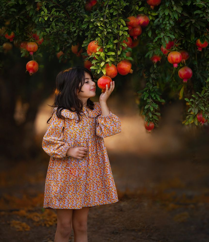 Photograph by avishag twito