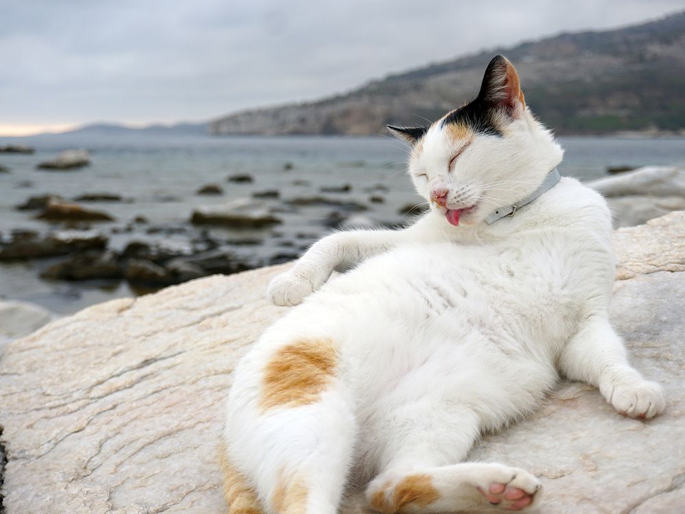 Photograph by Dimitris Lapousis