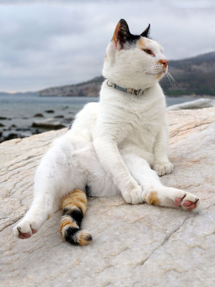 Photograph by Dimitris Lapousis