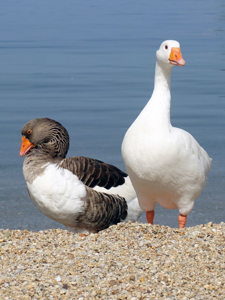 Photograph by Dimitris Lapousis