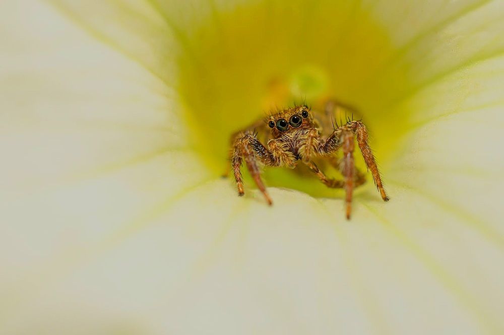 Photograph by Amgad ELSHAMY