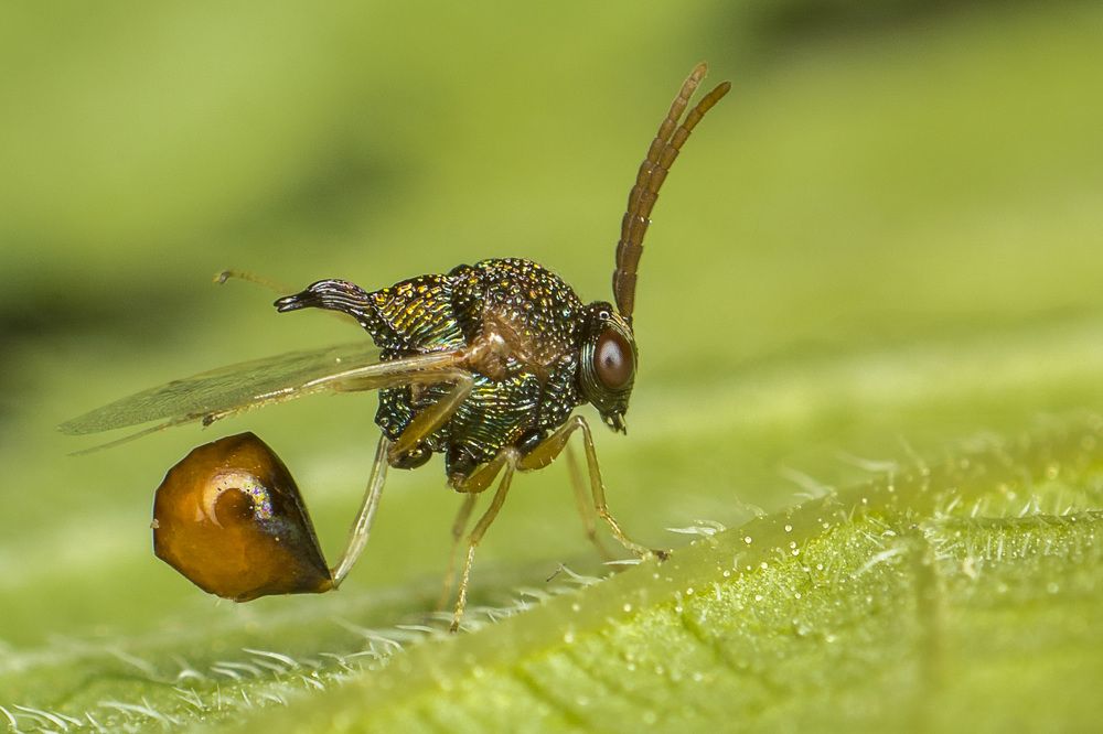 Photograph by Amgad ELSHAMY