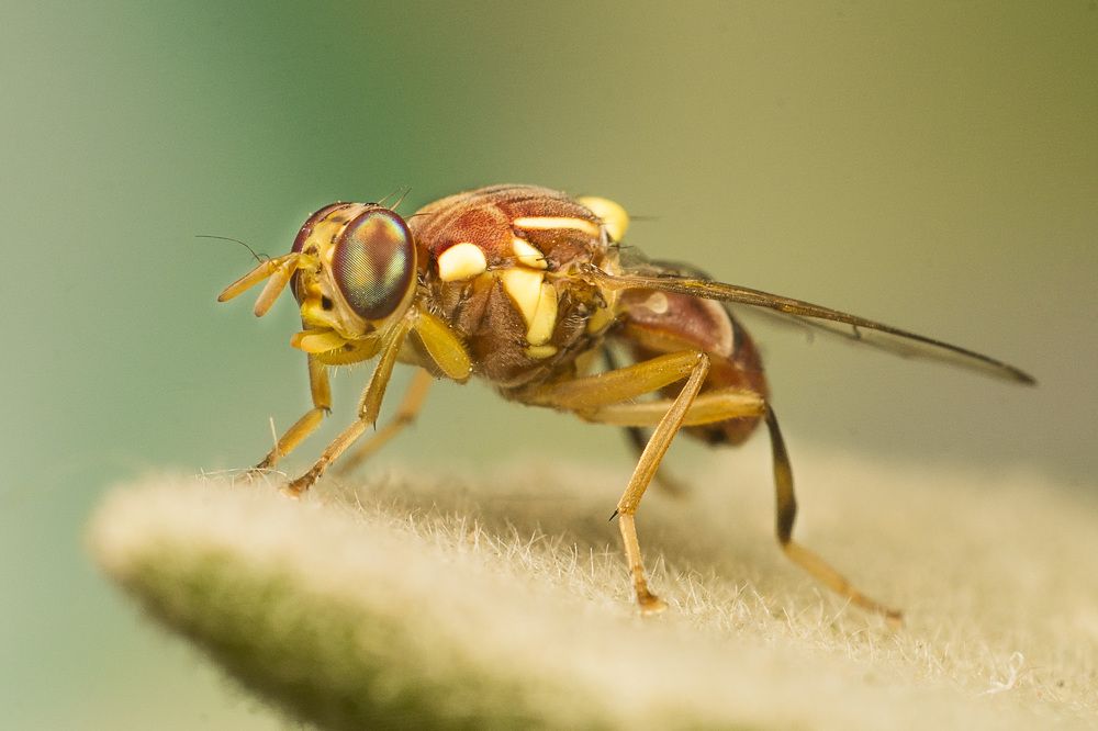 Photograph by Amgad ELSHAMY