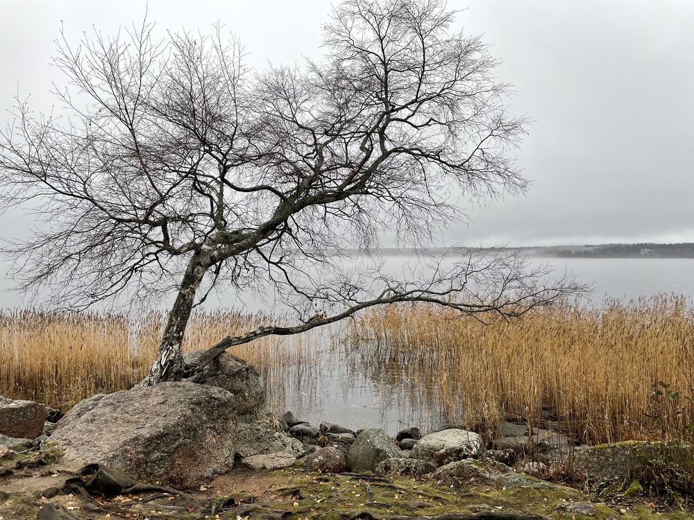 Photograph by Марина Измайлова