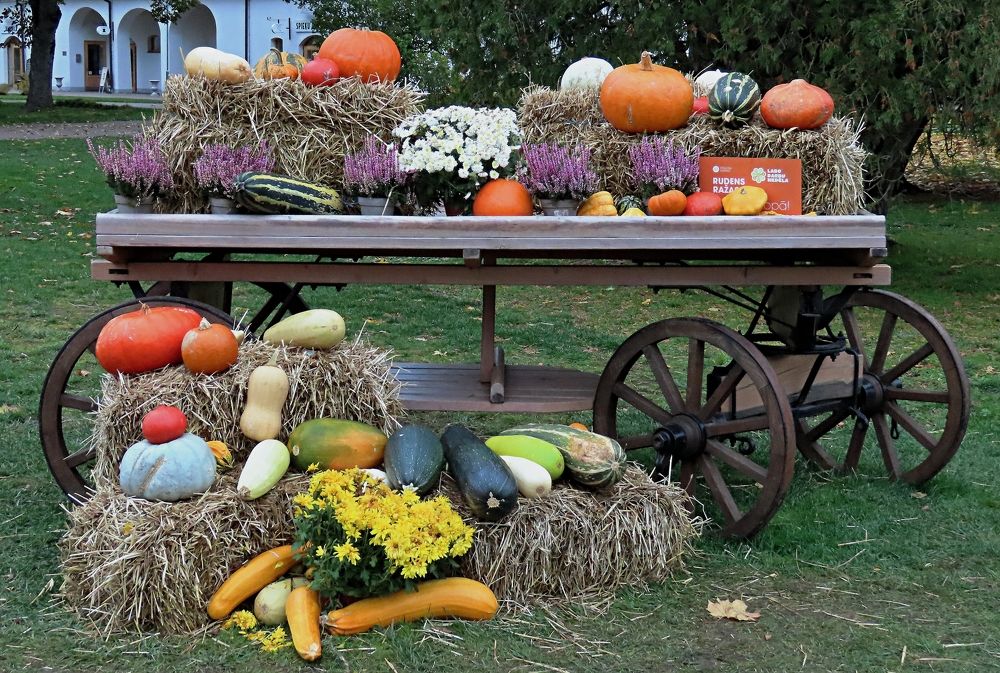 Photograph by Pjotr Alekseev