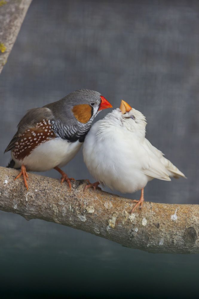 Photograph by Николай Зорин