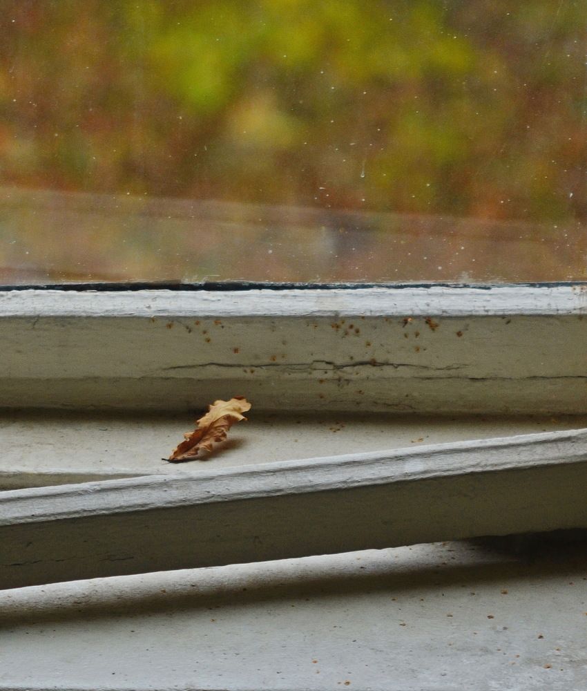 Photograph by Константин Мишнаевский