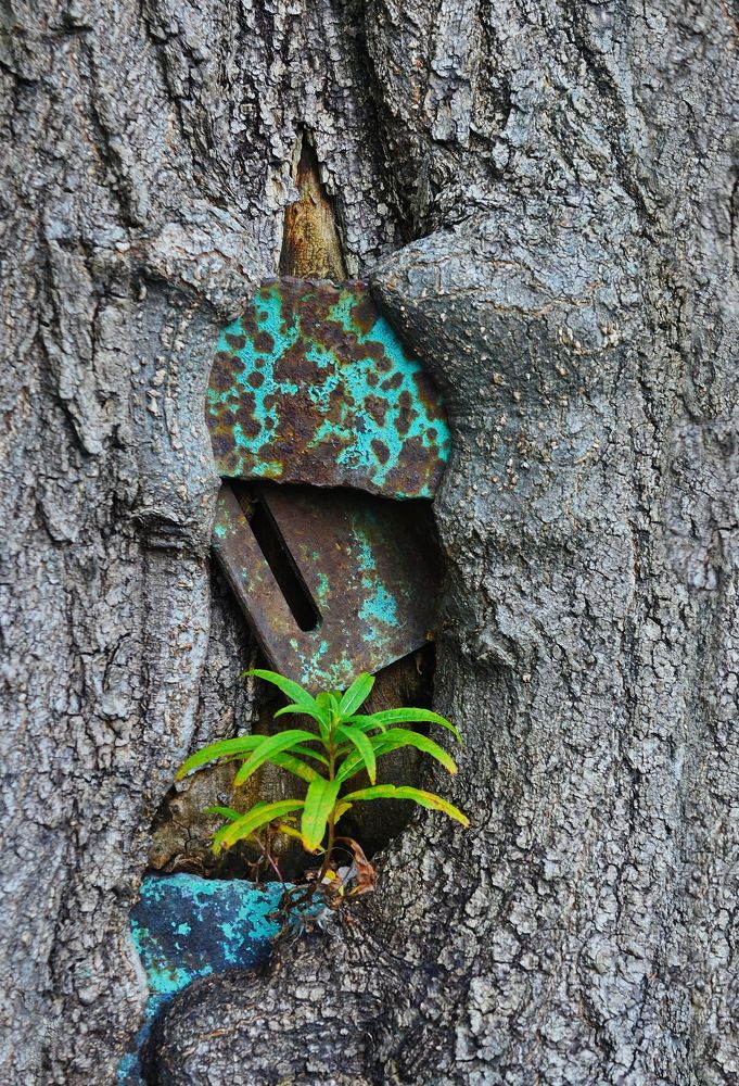 Photograph by Константин Мишнаевский