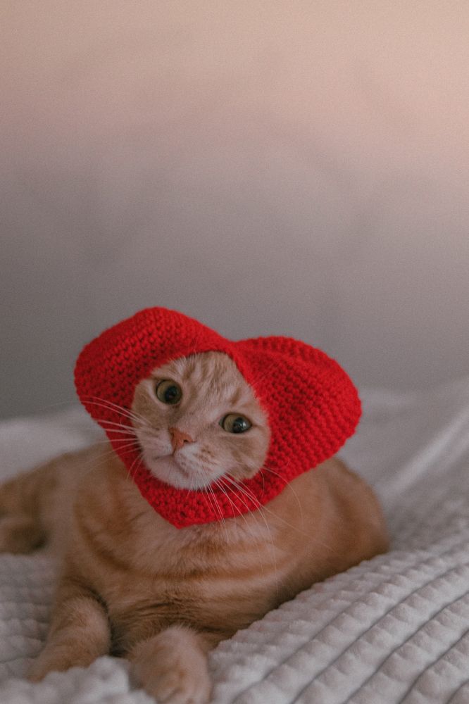 Photograph by Екатерина Алексеева