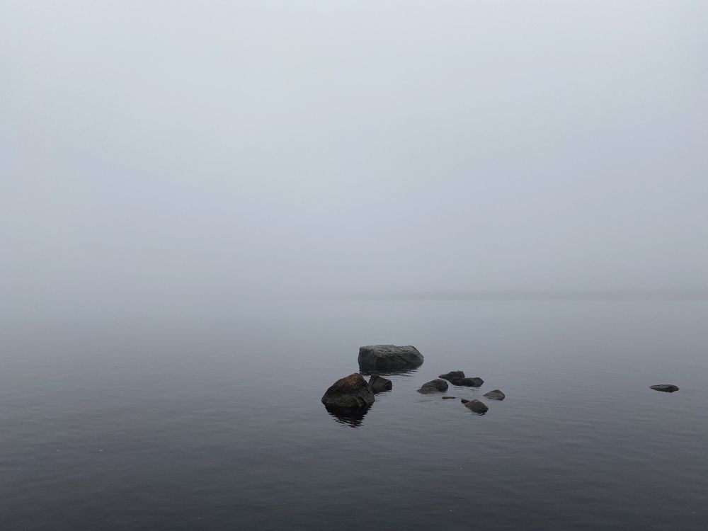 Фотография автора Анна Могилева