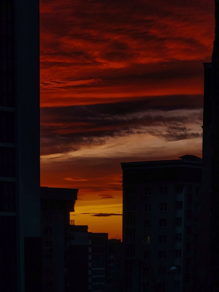 Фотография автора Ольга Дубалеко