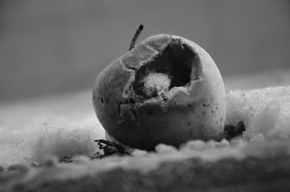 Photograph by Константин Мишнаевский