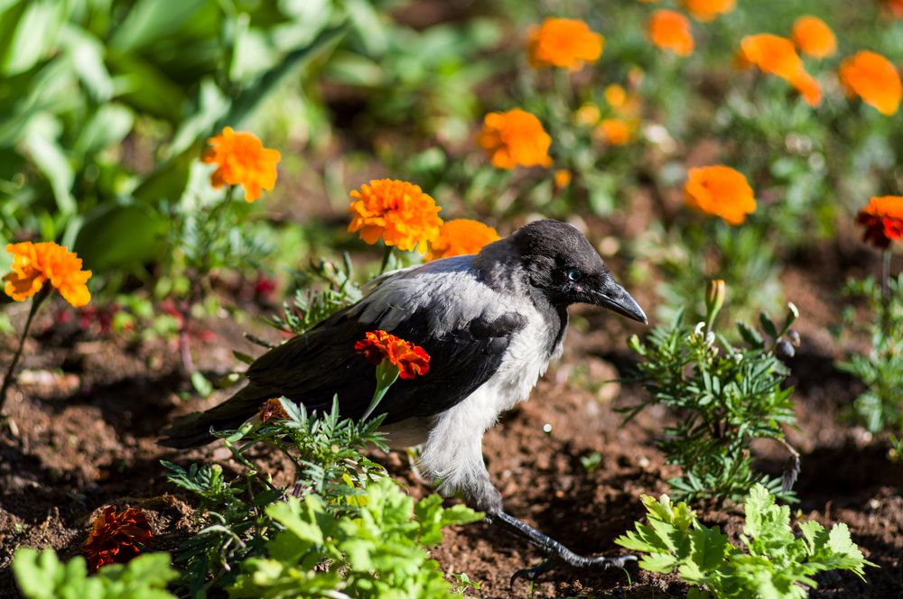 Photograph by Оксана Макарова