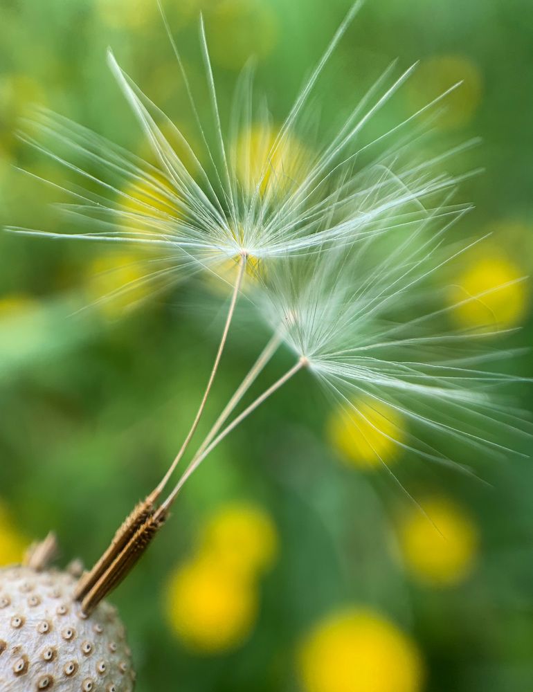 Photograph by Евгения Д