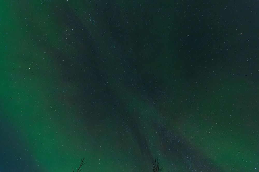 Photograph by Алексей Чеботарев