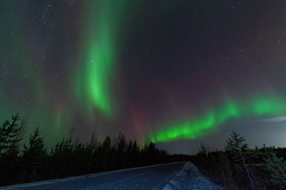 Photograph by Алексей Чеботарев