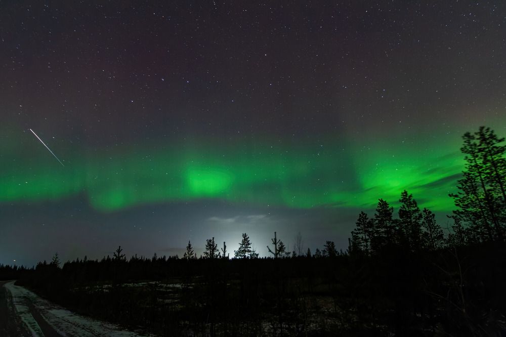 Photograph by Алексей Чеботарев