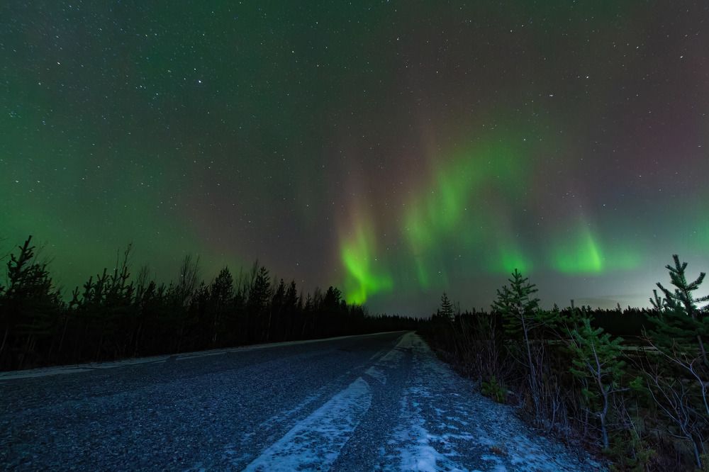 Photograph by Алексей Чеботарев