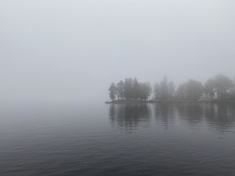 Фотография автора Анна Могилева
