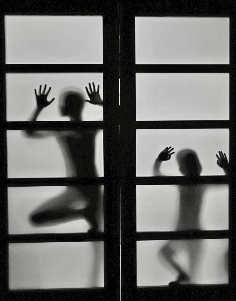 Фотография автора Вера Сдвижкова