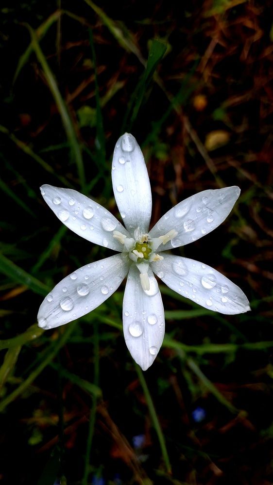 Photograph by Татьяна Солтан