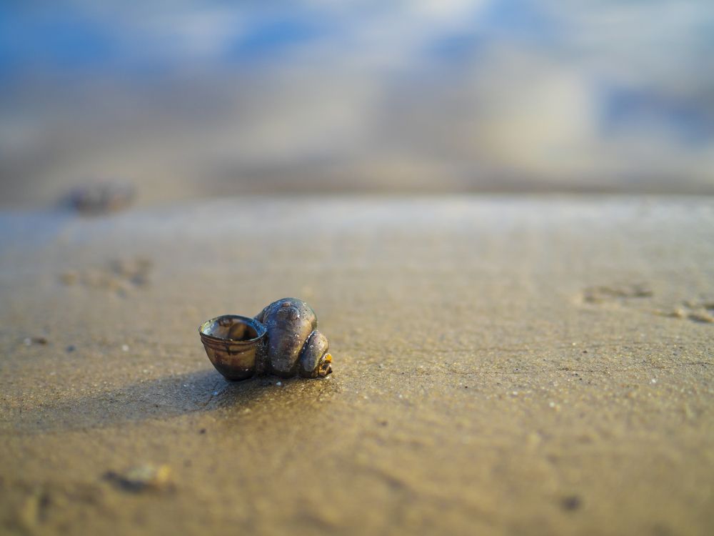 Photograph by Evgeniy Prokoptsov