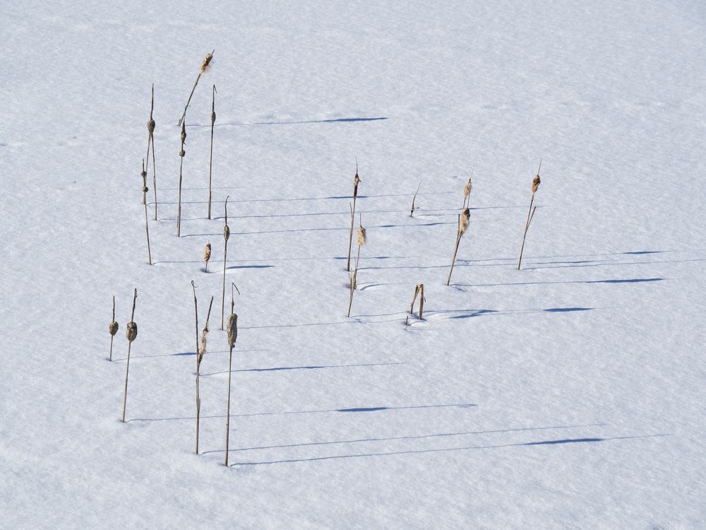 Photograph by Evgeniy Prokoptsov