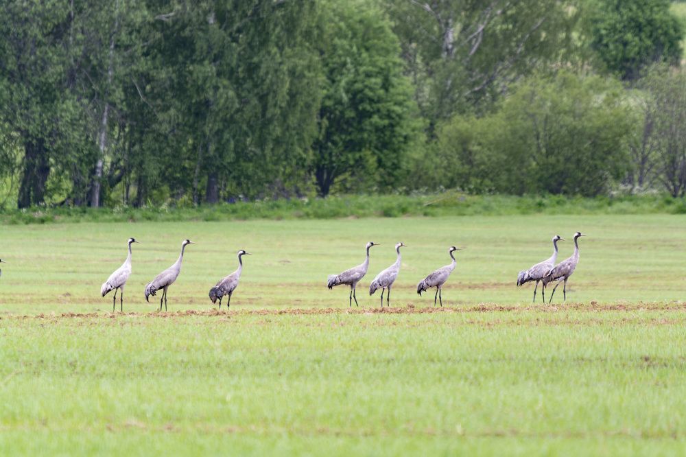 Photograph by Андрей Смирнов