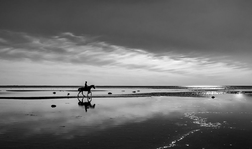 Фотография автора Sergey Sokolovsky