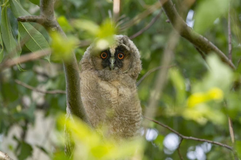 Photograph by Андрей Смирнов