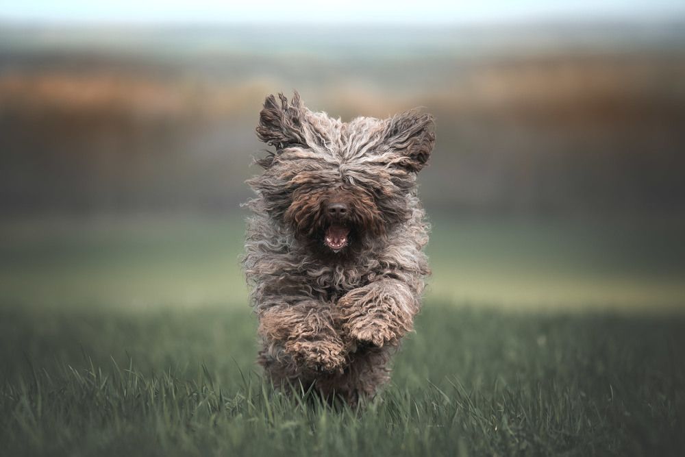 Фотография автора Ирина Мороз