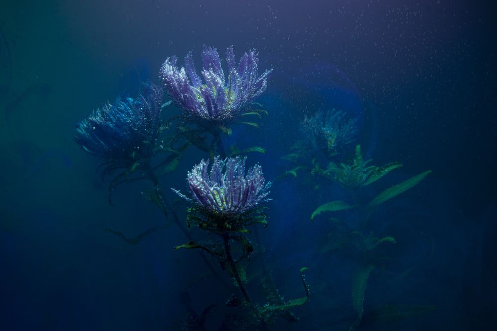 Photograph by Игорь Смирнов