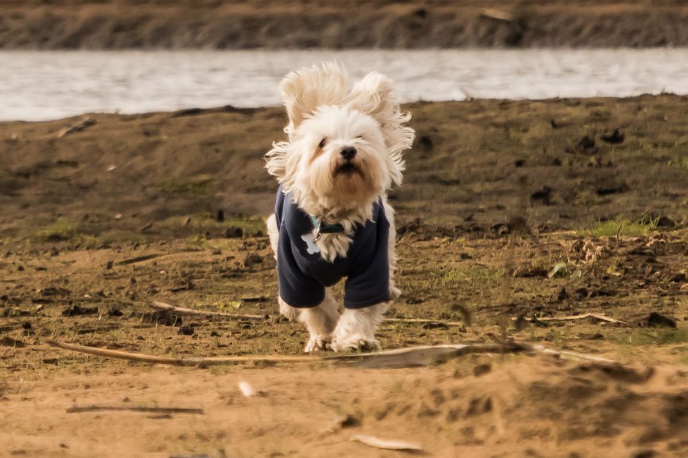 Photograph by Мария Тёмкина