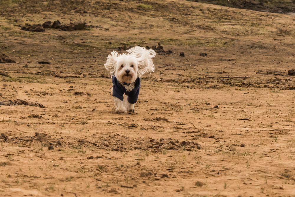 Photograph by Мария Тёмкина