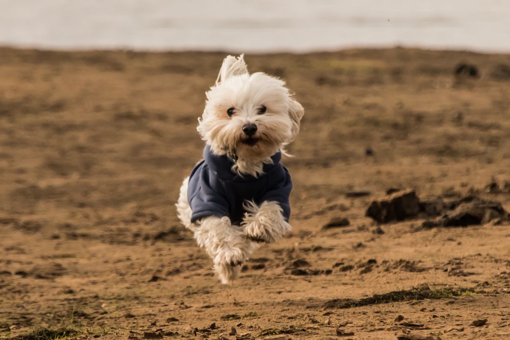 Photograph by Мария Тёмкина