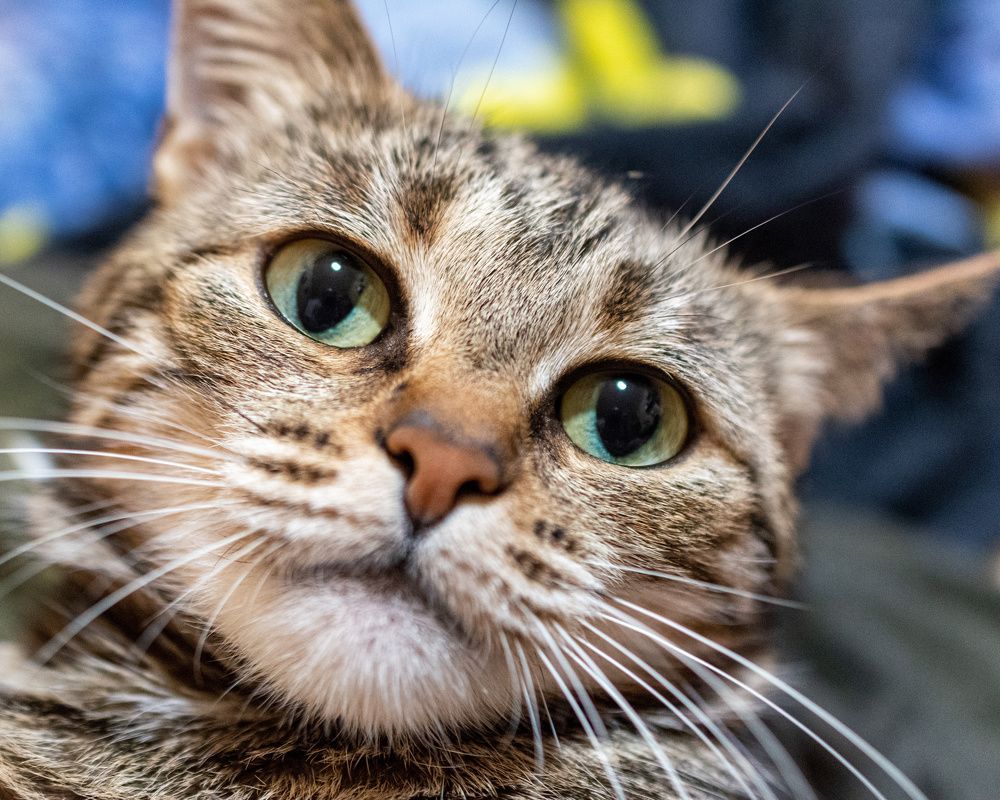 Photograph by Валерий Петухов