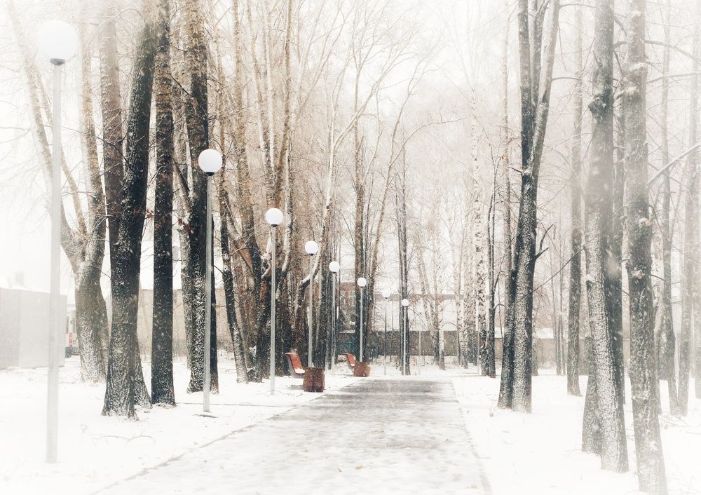 Photograph by Мария Андреева