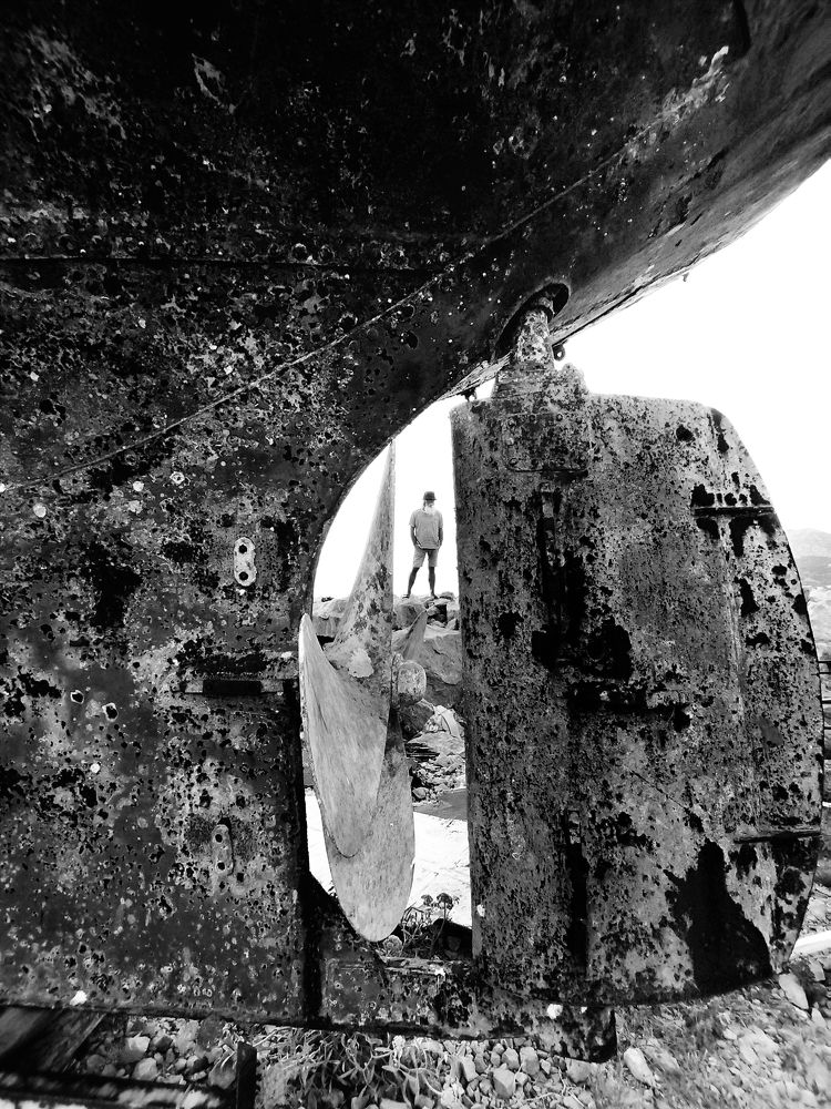 Фотография автора JELENA VASIC