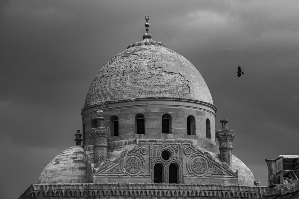 Photograph by Moataz Helmy