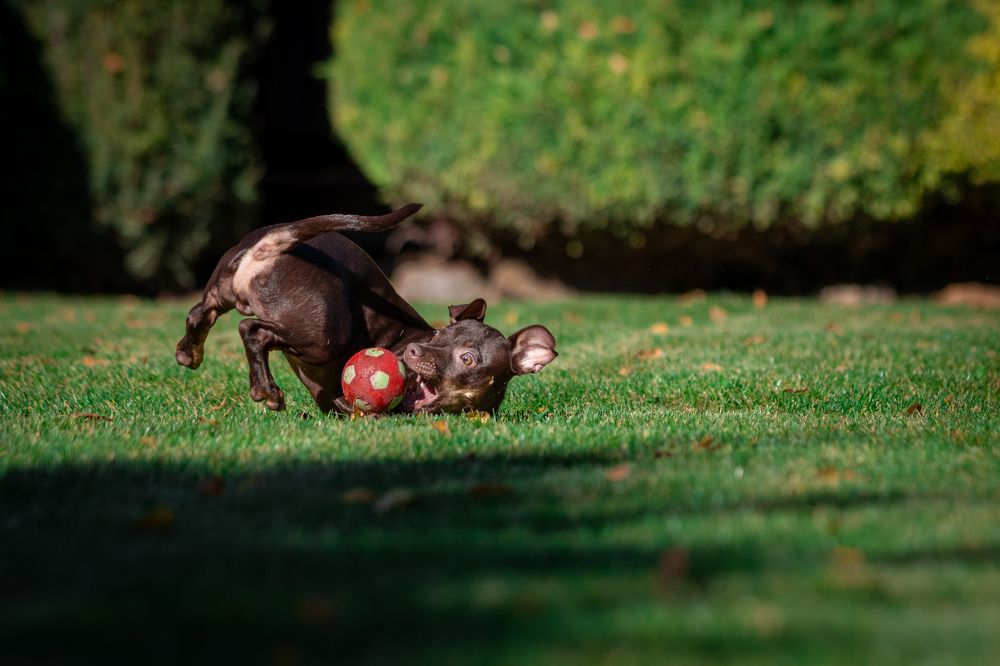 Photograph by Алексей Кремнёв
