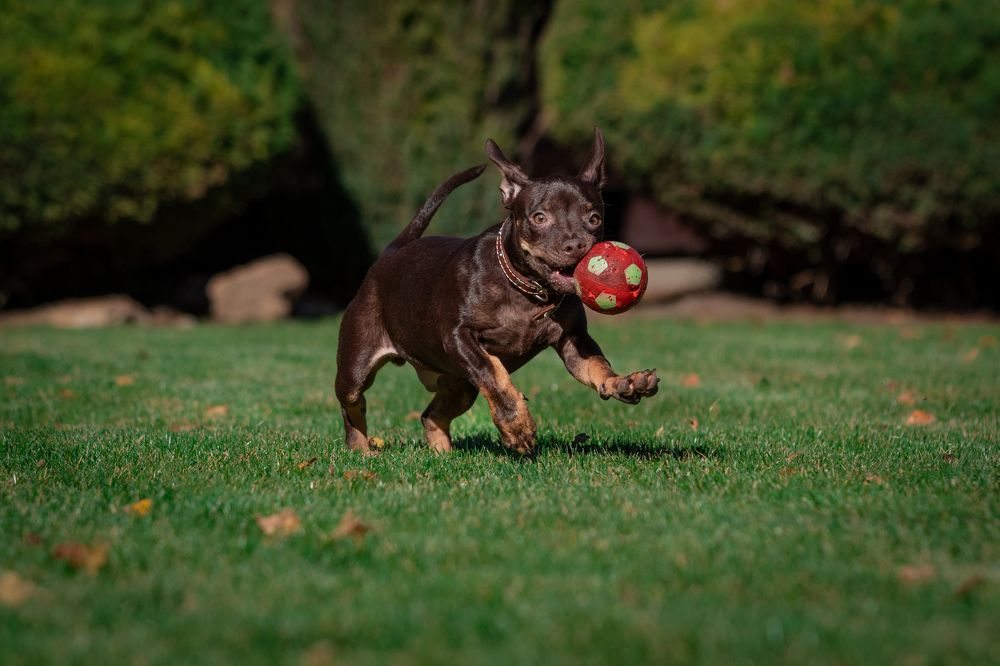 Photograph by Алексей Кремнёв
